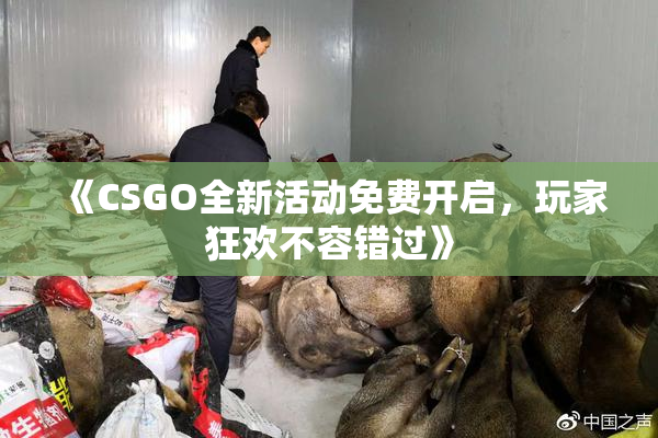 《CSGO全新活动免费开启，玩家狂欢不容错过》