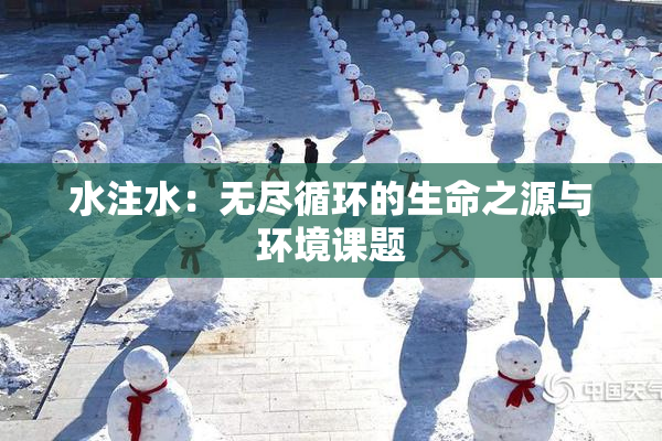 水注水：无尽循环的生命之源与环境课题