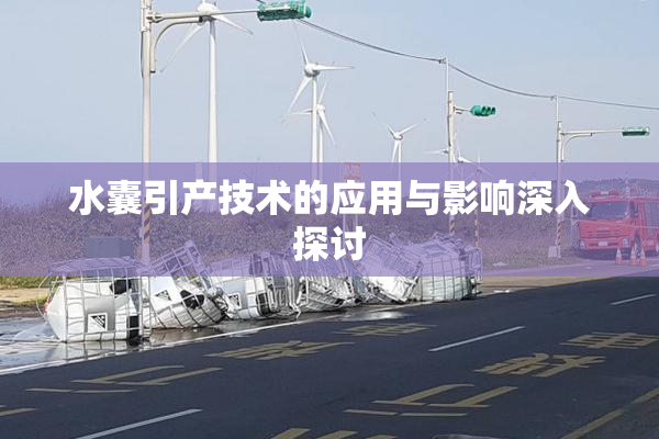 水囊引产技术的应用与影响深入探讨
