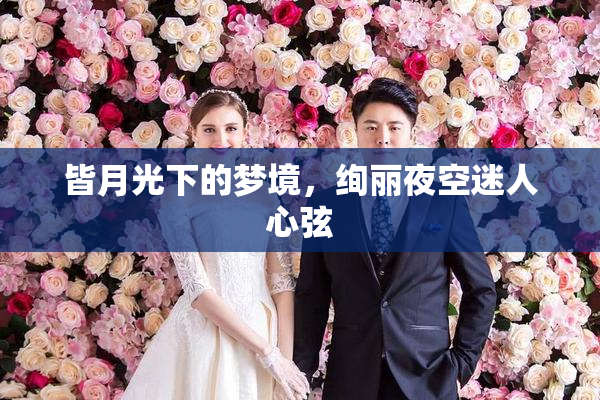 皆月光下的梦境，绚丽夜空迷人心弦