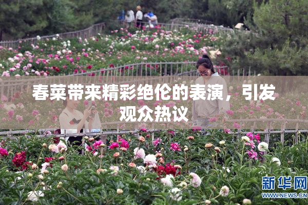 春菜带来精彩绝伦的表演，引发观众热议