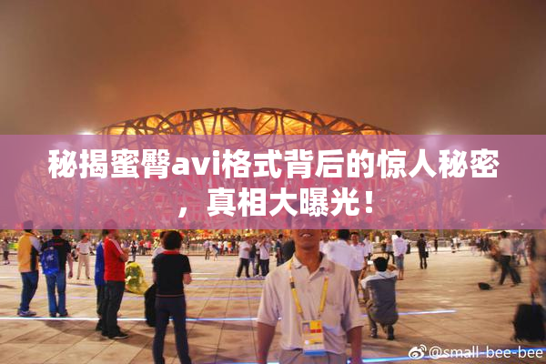 秘揭蜜臀avi格式背后的惊人秘密，真相大曝光！