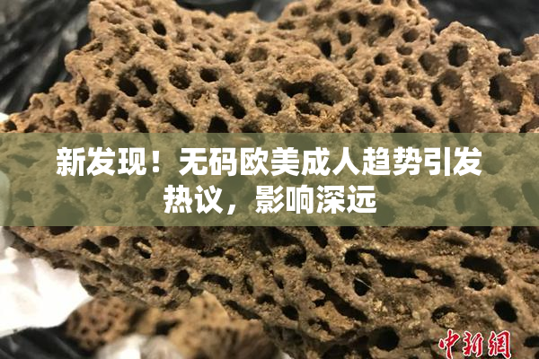 新发现！无码欧美成人趋势引发热议，影响深远