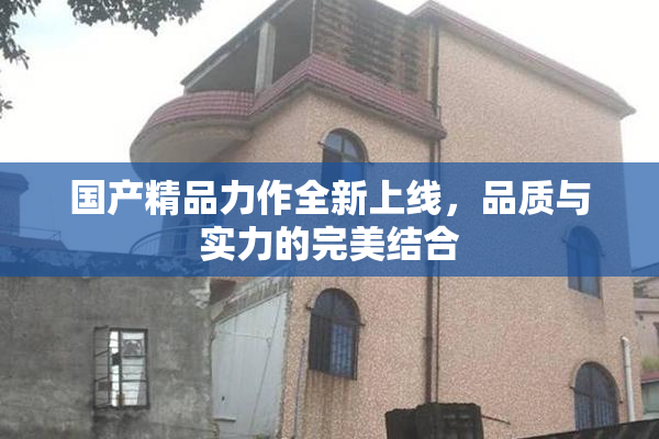 国产精品力作全新上线，品质与实力的完美结合