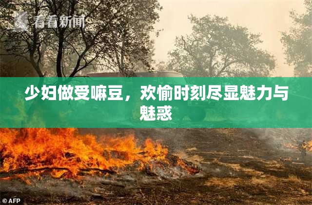 少妇做受嘛豆，欢愉时刻尽显魅力与魅惑