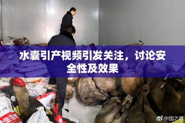 水囊引产视频引发关注，讨论安全性及效果