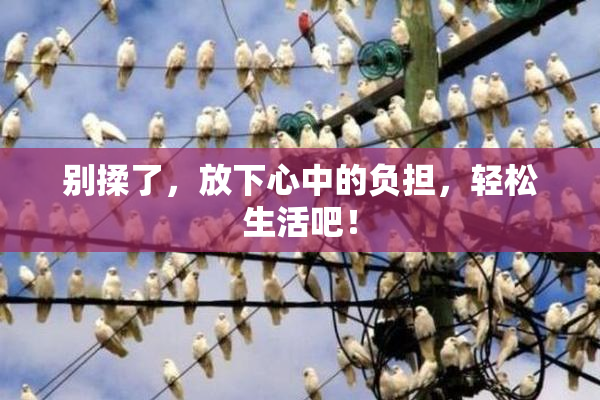 别揉了，放下心中的负担，轻松生活吧！