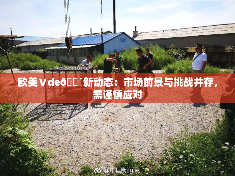 欧美Ⅴde🔴新动态：市场前景与挑战并存，需谨慎应对