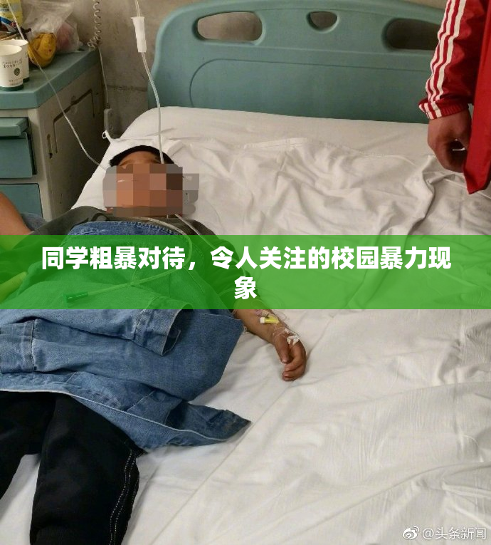 同学粗暴对待，令人关注的校园暴力现象