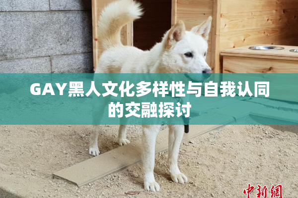 GAY黑人文化多样性与自我认同的交融探讨