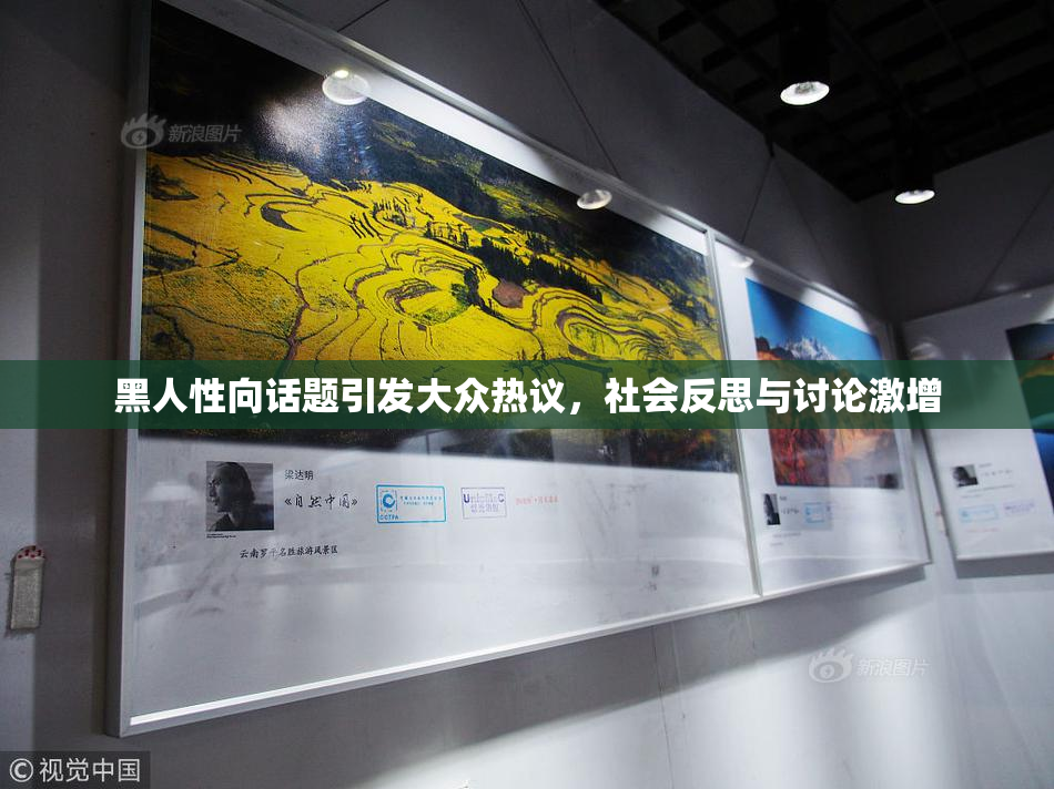 黑人性向话题引发大众热议，社会反思与讨论激增