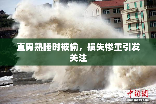 直男熟睡时被偷，损失惨重引发关注