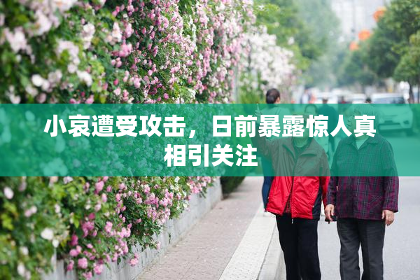 小哀遭受攻击，日前暴露惊人真相引关注