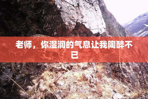 老师，你湿润的气息让我陶醉不已