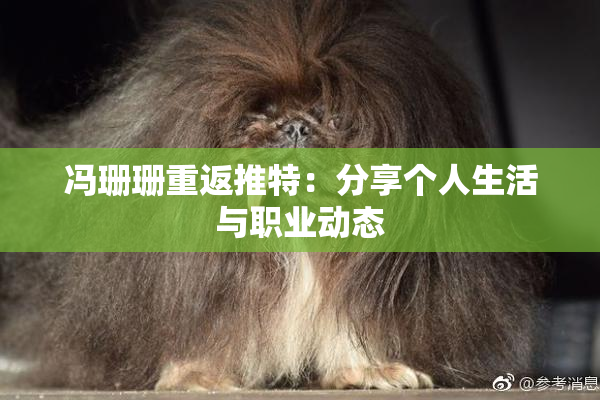 冯珊珊重返推特：分享个人生活与职业动态