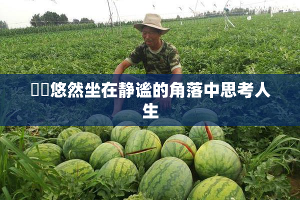妺妺悠然坐在静谧的角落中思考人生