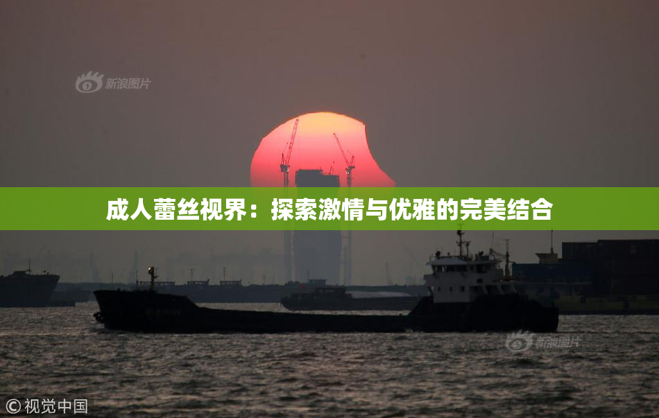 成人蕾丝视界：探索激情与优雅的完美结合
