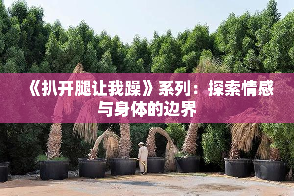 《扒开腿让我躁》系列：探索情感与身体的边界
