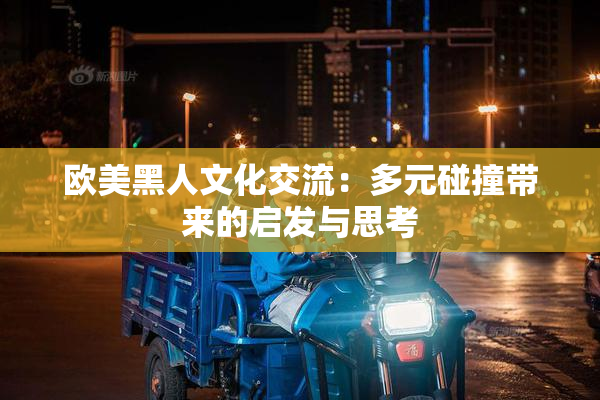 欧美黑人文化交流：多元碰撞带来的启发与思考