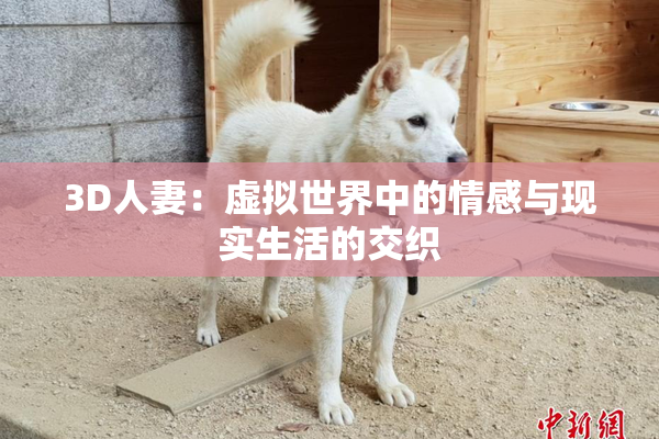 3D人妻：虚拟世界中的情感与现实生活的交织