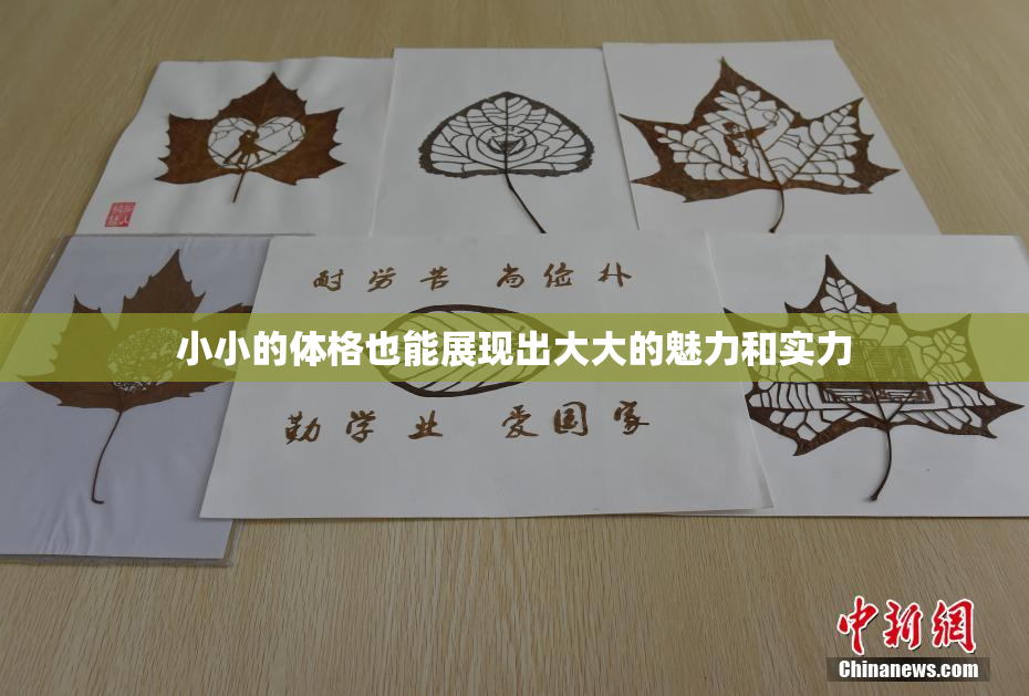 小小的体格也能展现出大大的魅力和实力