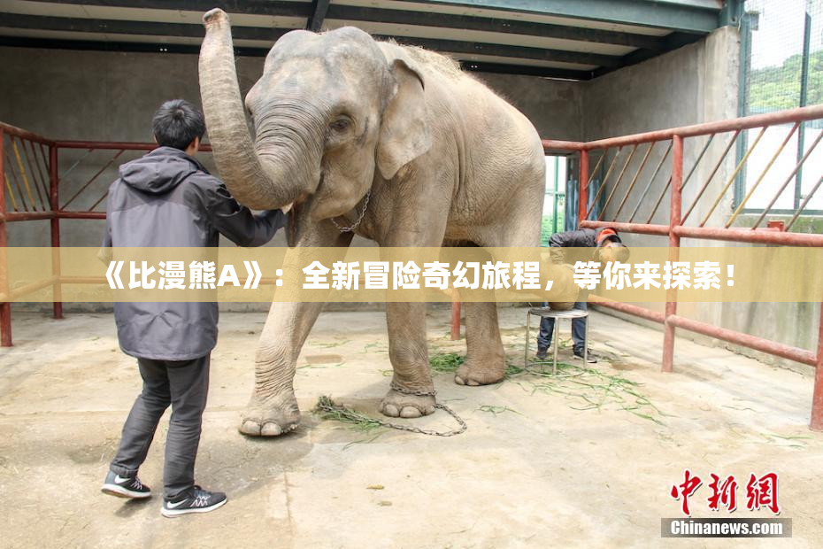 《比漫熊A》：全新冒险奇幻旅程，等你来探索！
