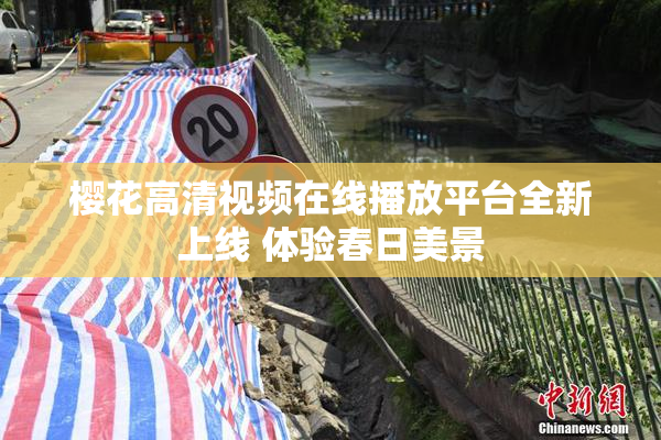 樱花高清视频在线播放平台全新上线 体验春日美景