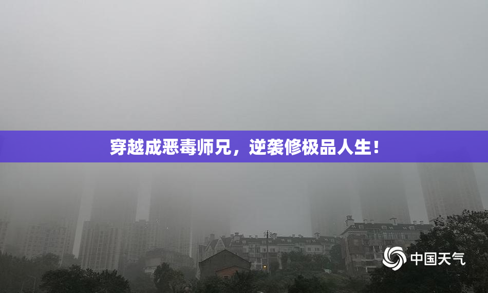 穿越成恶毒师兄，逆袭修极品人生！