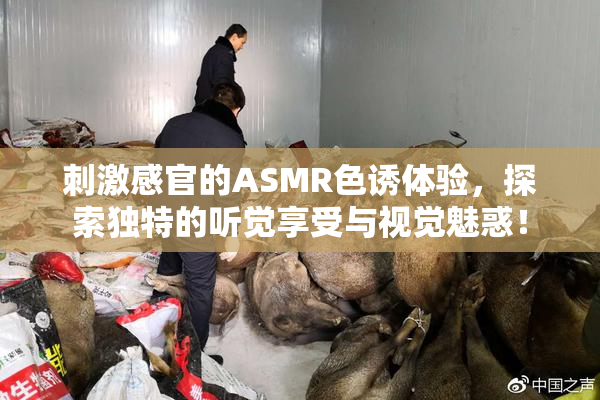刺激感官的ASMR色诱体验，探索独特的听觉享受与视觉魅惑！