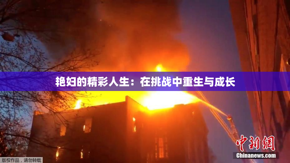 艳妇的精彩人生：在挑战中重生与成长
