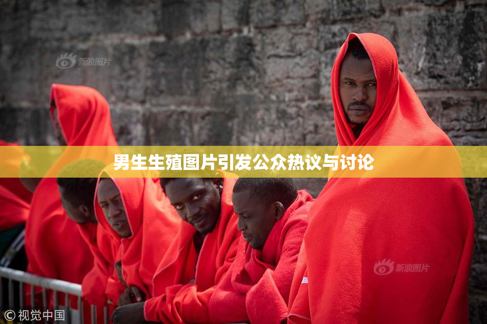 男生生殖图片引发公众热议与讨论