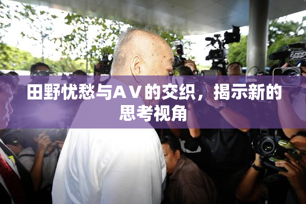 田野忧愁与AⅤ的交织，揭示新的思考视角