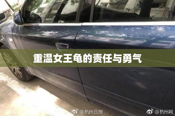 重温女王龟的责任与勇气