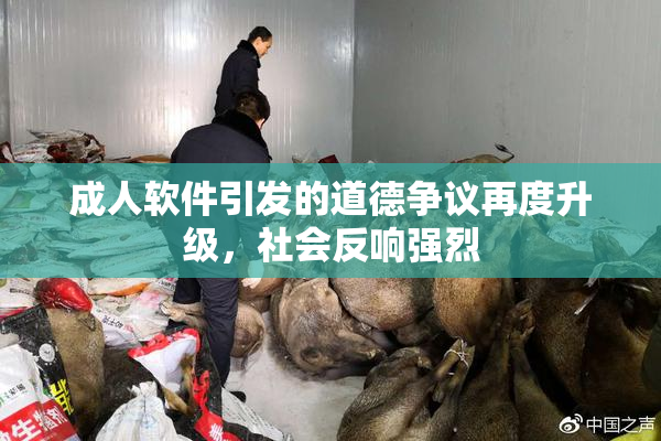 成人软件引发的道德争议再度升级，社会反响强烈