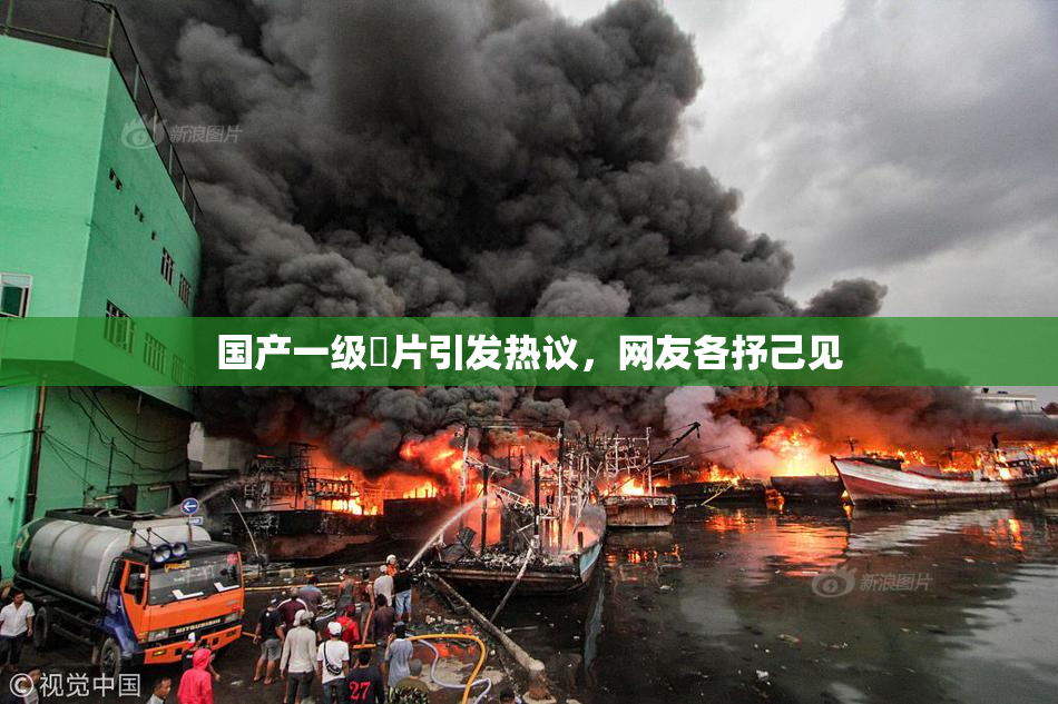 国产一级婬片引发热议，网友各抒己见