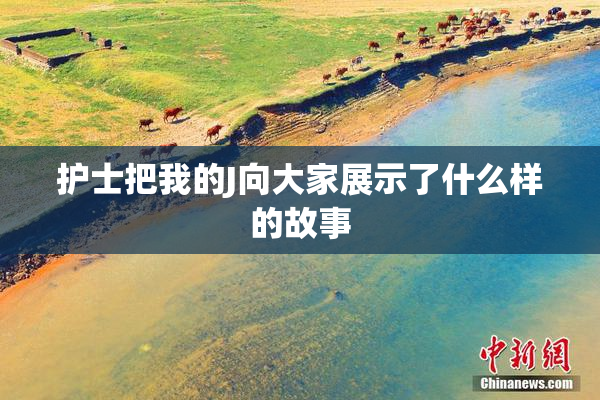 护士把我的J向大家展示了什么样的故事