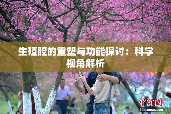 生殖腔的重塑与功能探讨：科学视角解析