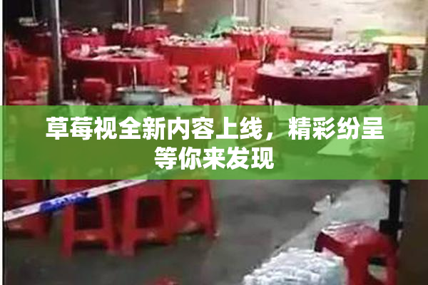 草莓视全新内容上线，精彩纷呈等你来发现
