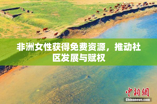 非洲女性获得免费资源，推动社区发展与赋权