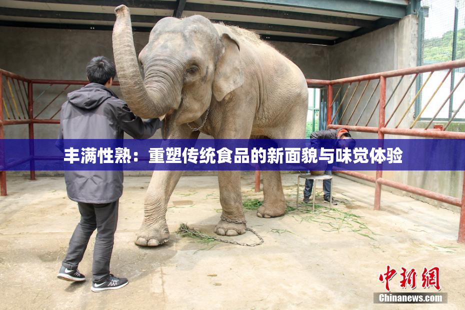 丰满性熟：重塑传统食品的新面貌与味觉体验