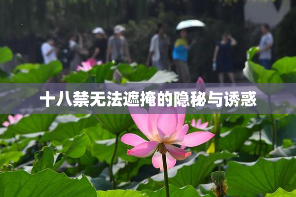 十八禁无法遮掩的隐秘与诱惑