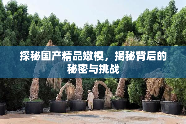 探秘国产精品嫩模，揭秘背后的秘密与挑战