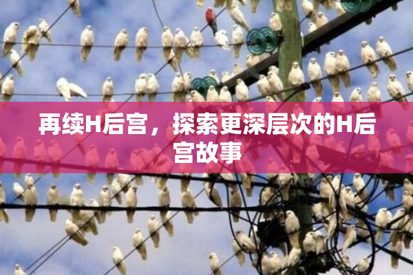 再续H后宫，探索更深层次的H后宫故事