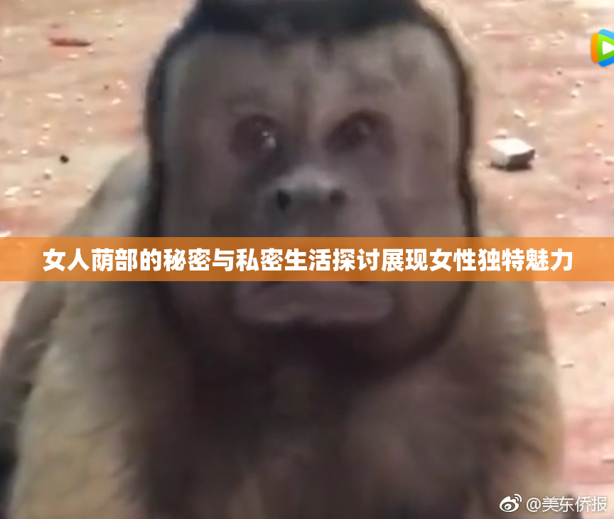 女人荫部的秘密与私密生活探讨展现女性独特魅力