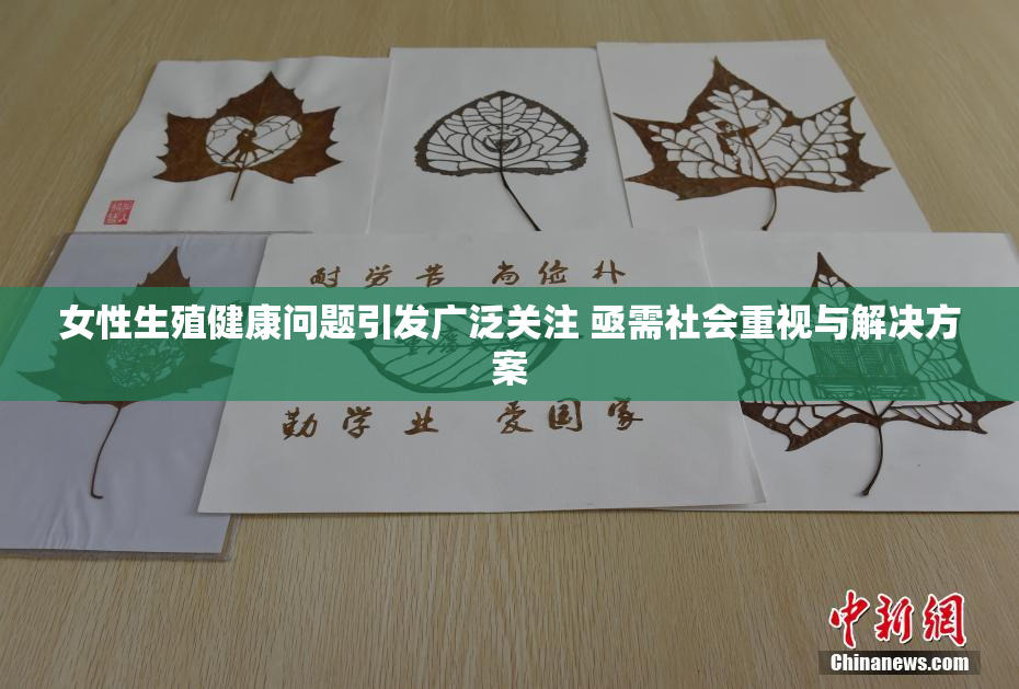 女性生殖健康问题引发广泛关注 亟需社会重视与解决方案