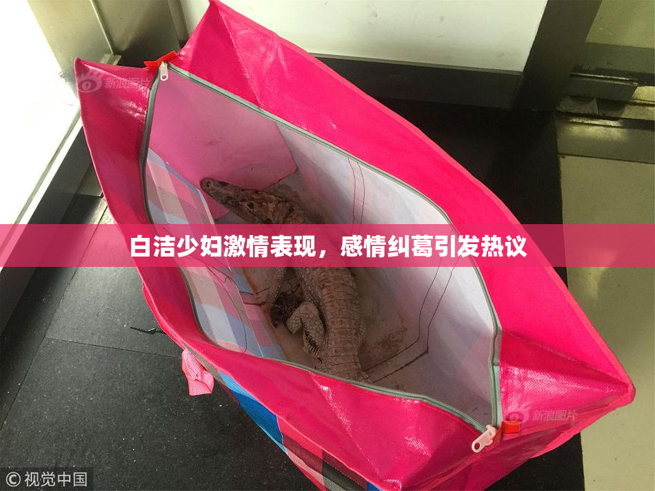 白洁少妇激情表现，感情纠葛引发热议