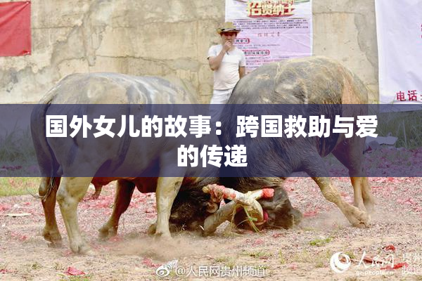 国外女儿的故事：跨国救助与爱的传递