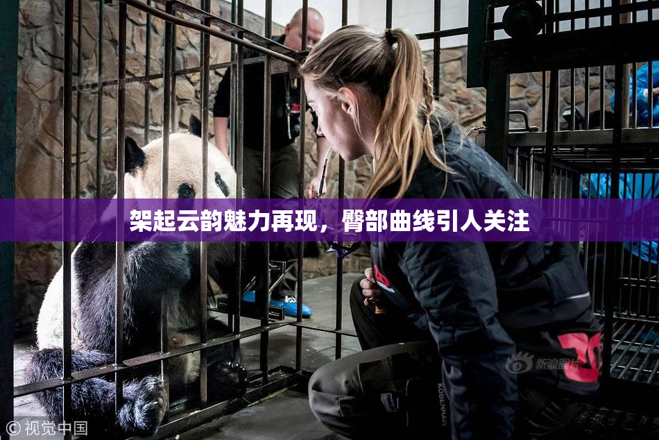 架起云韵魅力再现，臀部曲线引人关注