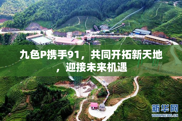 九色P携手91，共同开拓新天地，迎接未来机遇