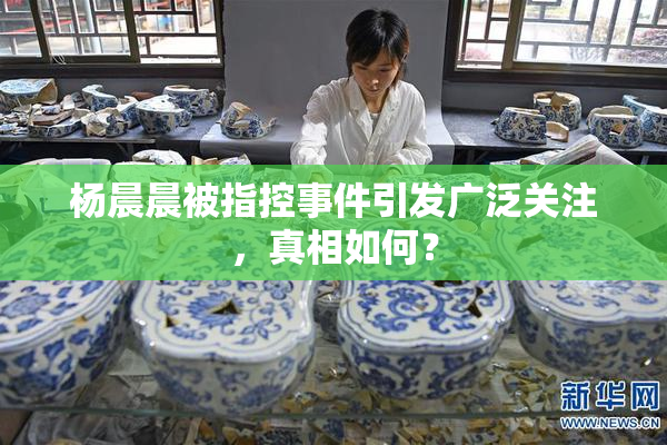 杨晨晨被指控事件引发广泛关注，真相如何？